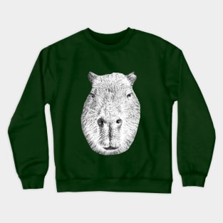 Capybara face on! Crewneck Sweatshirt